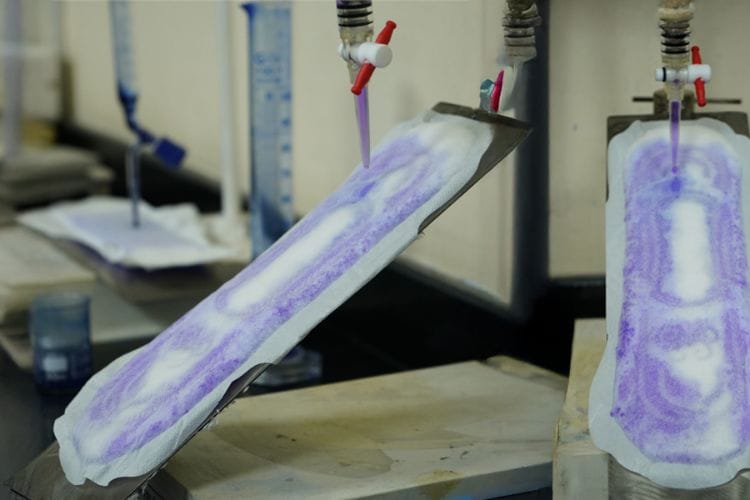 Sanitary Napkin
